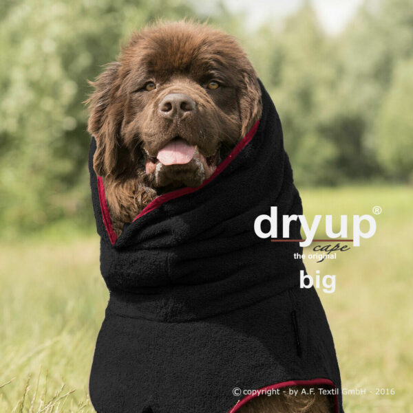 dryup Cape BIG Hundebademantel Trockencape Baumwollfrottee große Hunde 3 Größen