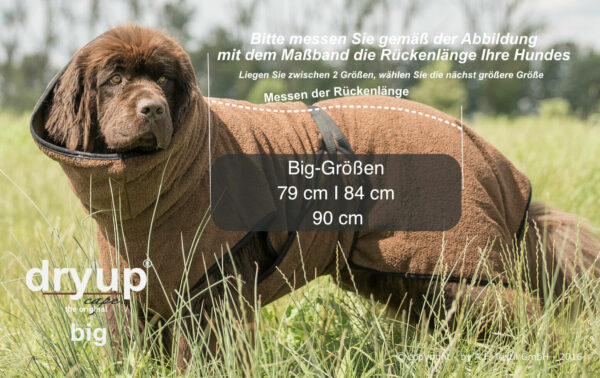 dryup Cape BIG Hundebademantel Trockencape Baumwollfrottee große Hunde 3 Größen