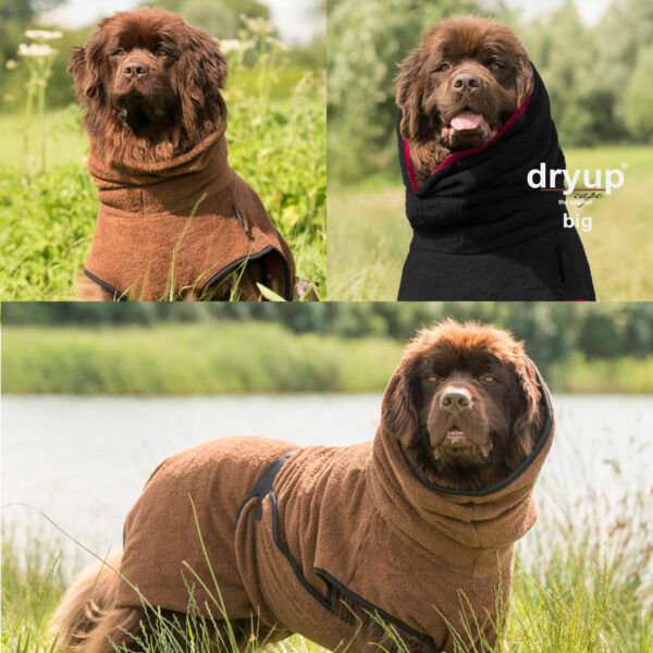 dryup Cape BIG Hundebademantel Trockencape Baumwollfrottee große Hunde 3 Größen